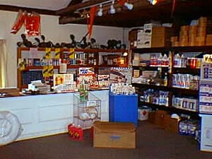 store2.JPG (24157 bytes)